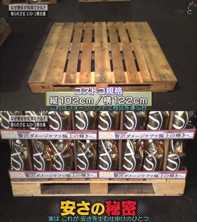 ED6357DA-4C8E-40A1-8941-D88FB6E9080F.jpeg ED6357DA-4C8E-40A1-8941-D88FB6E9080F.jpeg